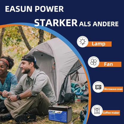 Batterie LiFePO4 12V/24V – 100Ah/300Ah avec BMS 100A