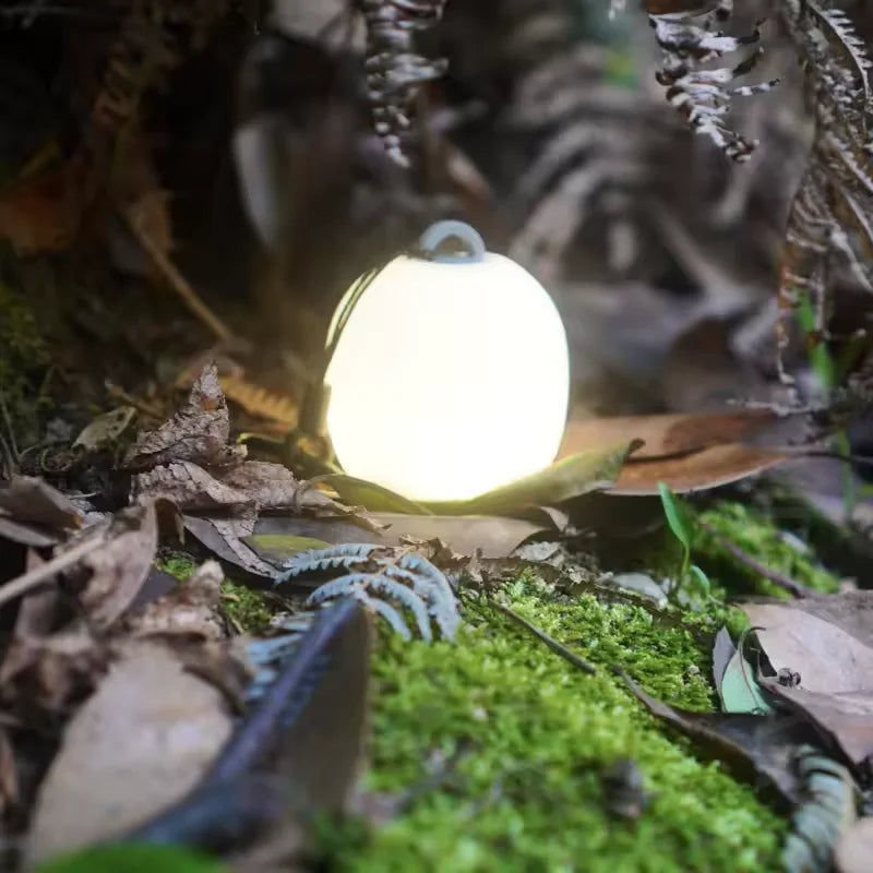 Lampe suspendue pour tente de camping